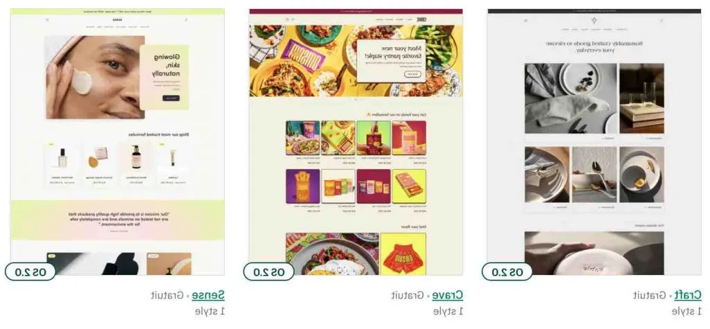 Comment fonctionne le paiement Shopify ?
