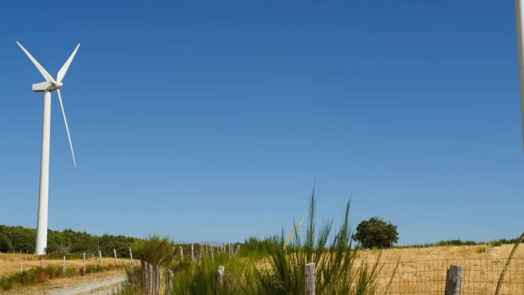 Greenbull Group : Entreprise écoresponsable engagée dans la durabilité