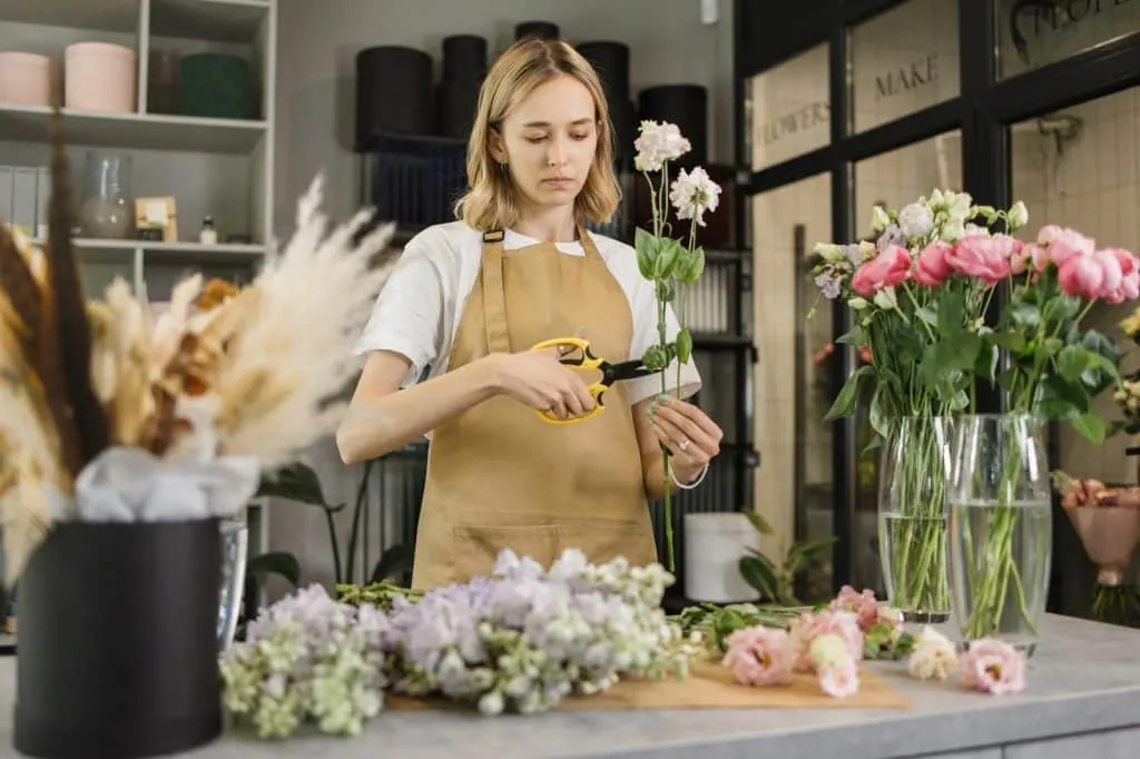 Formation dropshipping eBay – waxoo.fr